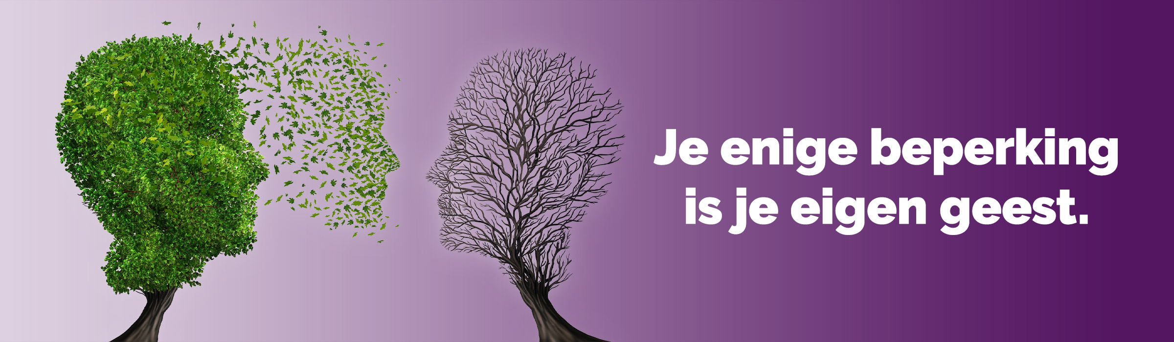 Pure Massage Etten-Leur